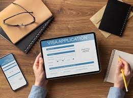 Professional Visa Guidance